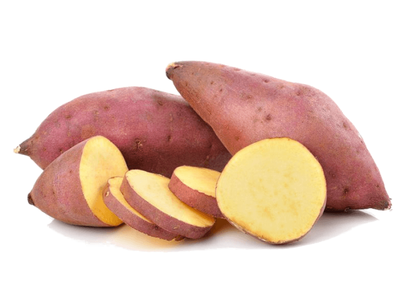 (HỘ KINH DOANH) NGUYỄN THỊ TIỀN