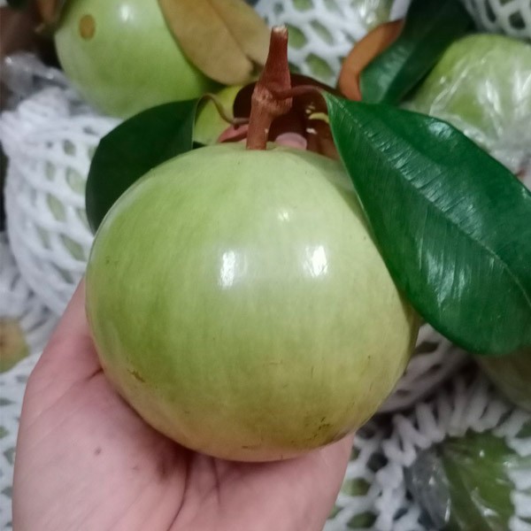 (HỘ KINH DOANH) NGUYỄN THỊ TIỀN