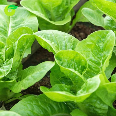 (HỘ KINH DOANH) NGUYỄN THỊ TIỀN